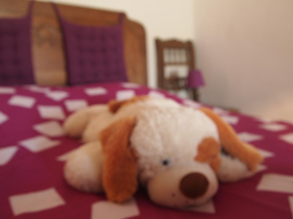 Chambres Et Tables D'Hotes A L'Auberge Touristique Meuvaines Bagian luar foto